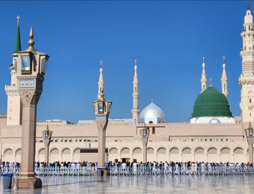 المدينة المنورة